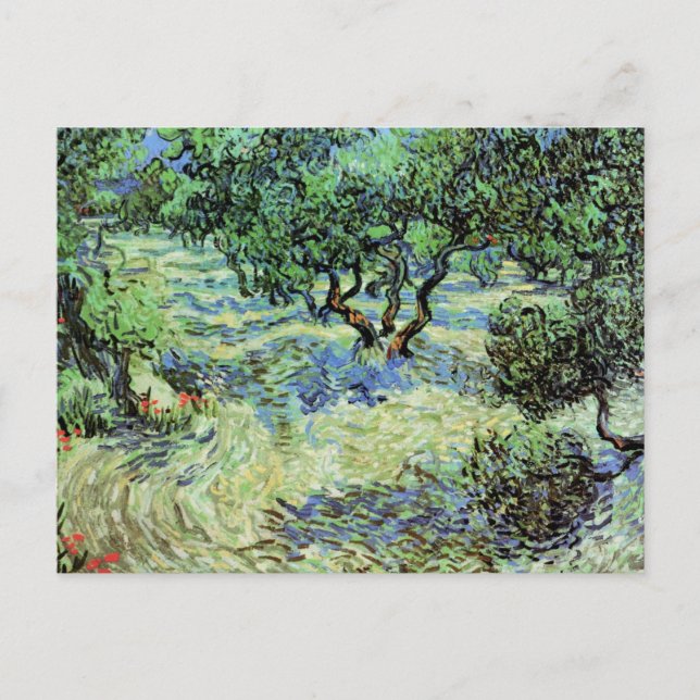 Olive Grove von Vincent van Gogh Postkarte (Vorderseite)