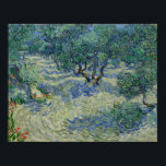 Olive Orchard von Vincent Van Gogh Poster<br><div class="desc">Der Olivenhain von Vincent Van Gogh, Öl auf der Leinwand 1889, ist ein Landschaftsgemälde aus einem Olivenhain mit Grautönen und grauen Blätter auf hügeliger, sandiger Erde unter einem tiefblauen Himmel. Das Gemälde ist in den gleichen, kontrastreichen und fast ergänzenden Farben grau, violett, violett, grün, blau und weiß gestrichen und mit...</div>