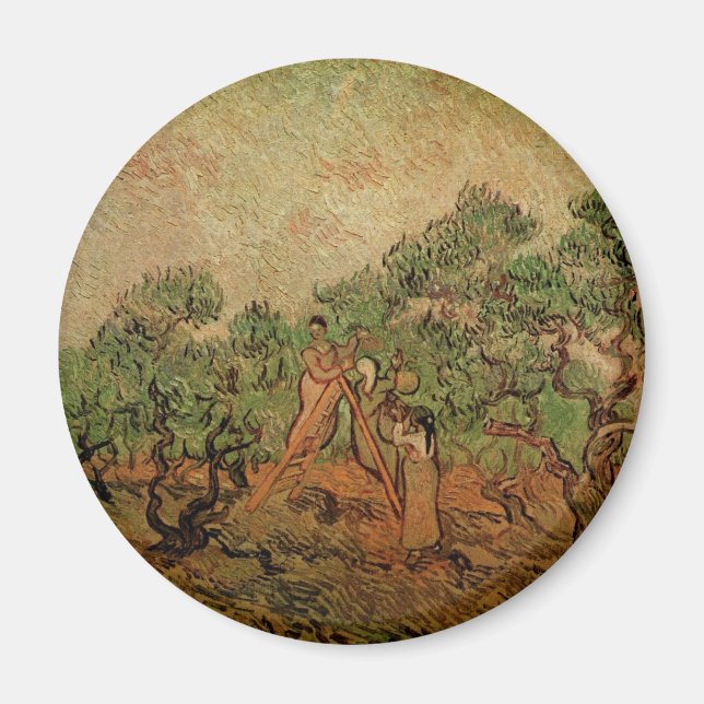 Olive Picking von Vincent van Gogh Magnet (Vorne)