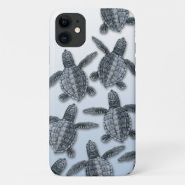 Olive Ridley Sea Turtle iPhone Case