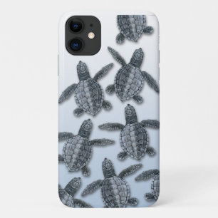 Olive Ridley Sea Turtle iPhone Case