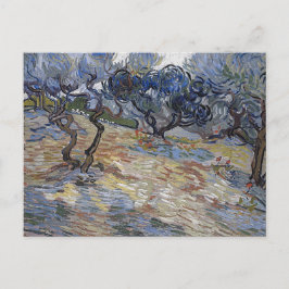 Olive Trees (F714) Van Gogh Fine Art Postkarte