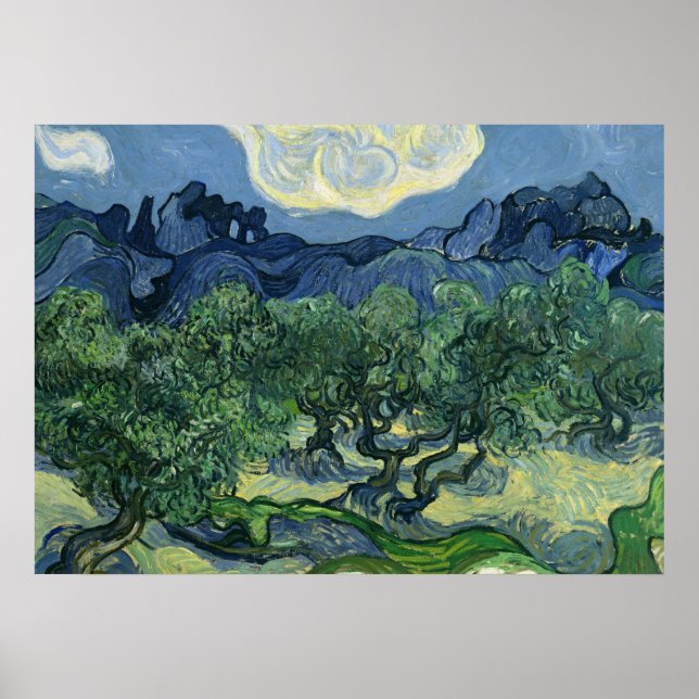 Olive Trees par Van Gogh Poster (Devant)