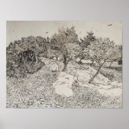 Olive Trees Sketch Poster