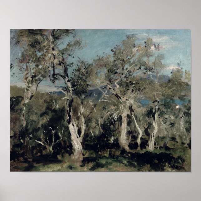 Oliven, Korfu, 1912 Poster (Vorne)