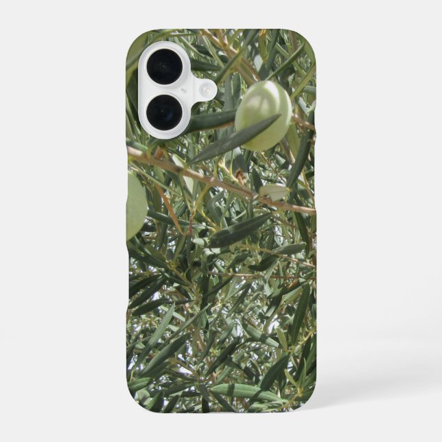 Olivenbaum-Blätter iPhone 16 Hülle (Rückseite)
