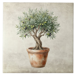 Olivenbaum-Topiary Mittelmeer-Aquarelle rustikal Fliese