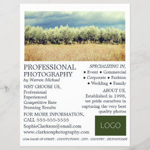 Olivenbäume, Fotografie, Fotografie, Vermietung vo Flyer