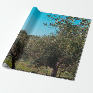 Olivenbäume in der apulischen Landschaft im Herbst Geschenkpapier