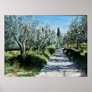 OLIVENBÄUME IN RIMAGGIO Landschaft der Toskana Poster