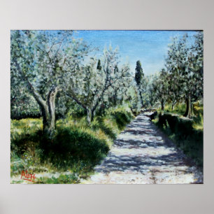 OLIVENBÄUME IN RIMAGGIO Landschaft der Toskana Poster