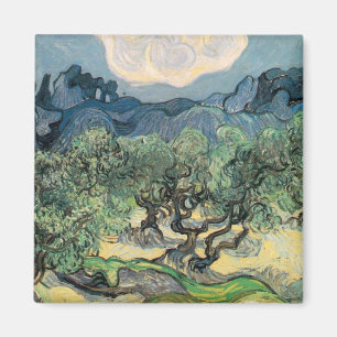 Olivenbäume mit dem Alpilles Magnet