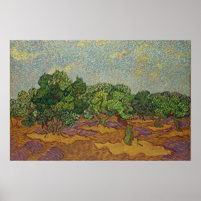 Olivenbäume, Van Gogh Poster (Vorne)