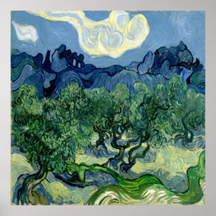 Olivenbäume von Vincent van Gogh Poster