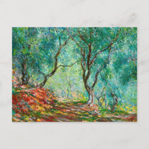 Olivenbaumholz im Garten Moreno, 1884 Postkarte