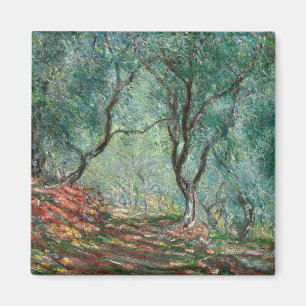 Olivenbaumholz im Moreno Gardens (von Monet) Magnet