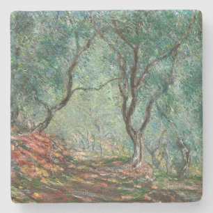 Olivenbaumholz im Moreno-Garten (von Monet) Steinuntersetzer