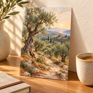 Olivenhain bei erstem Licht Kunstprint Poster