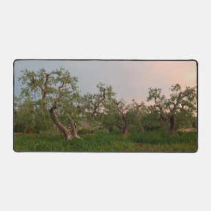 Olivenhain bei Sonnenuntergang Schreibtischunterlage
