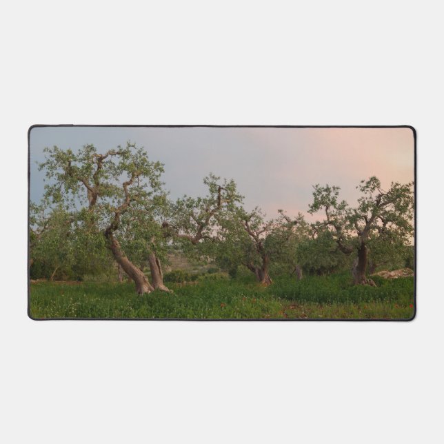 Olivenhain bei Sonnenuntergang Schreibtischunterlage (Vorderseite)