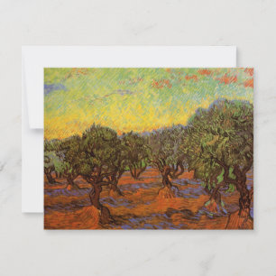 Olivenhain, blauer Himmel von Vincent van Gogh