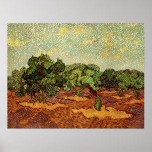 Olivenhain, blauer Himmel von Vincent van Gogh Poster