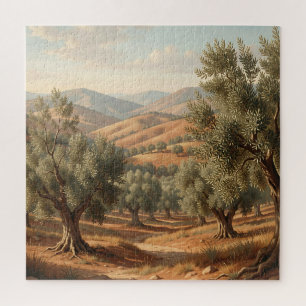 Olivenhain Rollende Hügel Toskana Landschaft