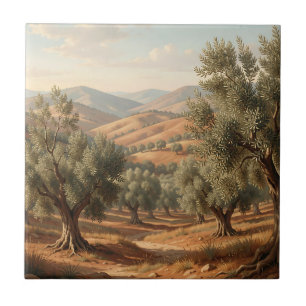 Olivenhain Rollende Hügel Toskana Landschaft Fliese
