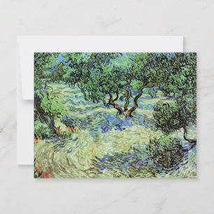 Olivenhain von Vincent van Gogh