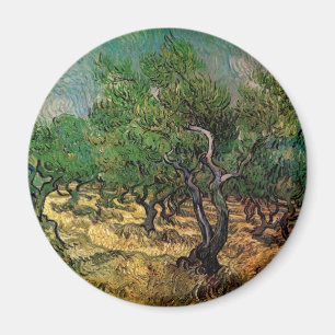 Olivenhain von Vincent van Gogh Magnet
