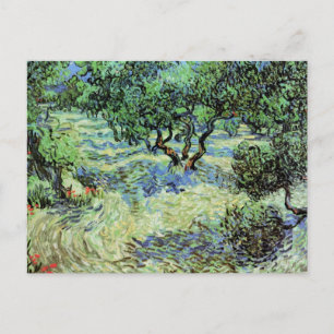 Olivenhain von Vincent van Gogh Postkarte