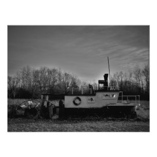 "Olivenhaine" Fotodruck