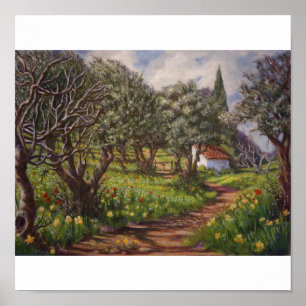 Olivenhaine im Springtime Poster
