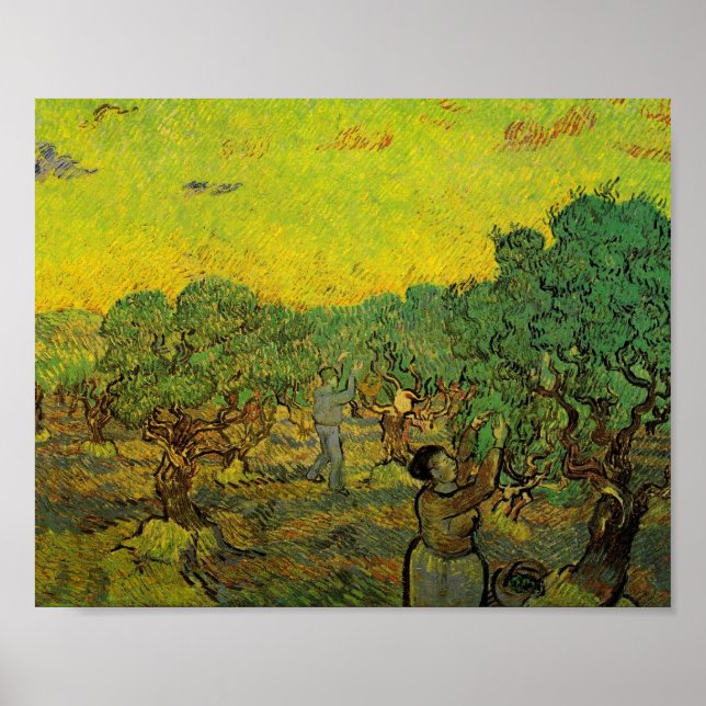 Olivenhaine mit Pickfiguren, Vincent van Gogh Poster (Vorne)