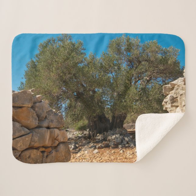 Olivenhaine Sherpadecke (Vorderseite (Horizontal))