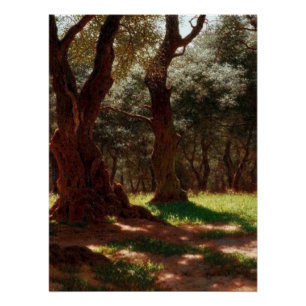 Olivenwald in Cap Saint Martin Poster