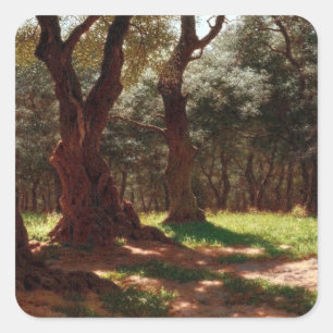Olivenwald in Cap Saint Martin Quadratischer Aufkleber