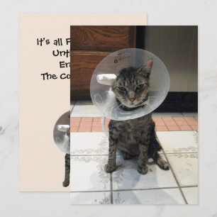 Oliver The Cats Cone of Shame Flat Get Well Card Karte