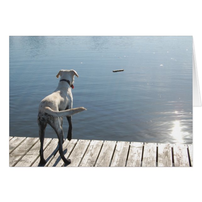 Oliver the Golden Labrador (Vorderseite (Horizontal))