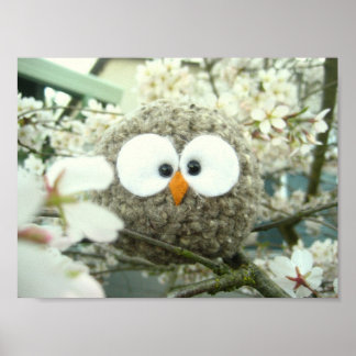 Oliver the Owl Poster