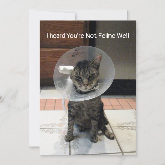Oliver's Not Feline Well - Cat Get Well Flat Card Karte (Vorderseite)