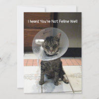 Oliver's Not Feline Well - Cat Get Well Flat Card