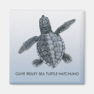 Olivgrüner Ridley Magnet
