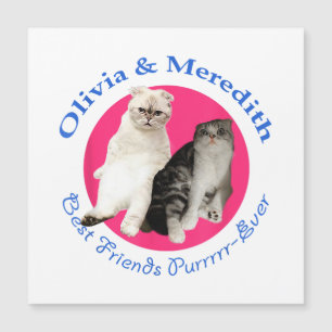 Olivia & Meredith - Die besten Freunde - Purrr-Eve Magnetkarte