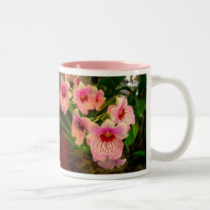 Olivia-Tasse Zweifarbige Tasse