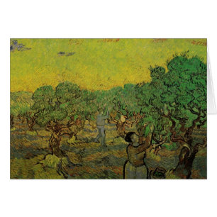 Olivier Grove avec les chiffres de cueillette, Vin