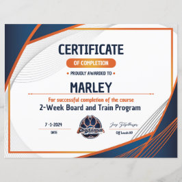 OLK9-Zertifikat Nr. 9