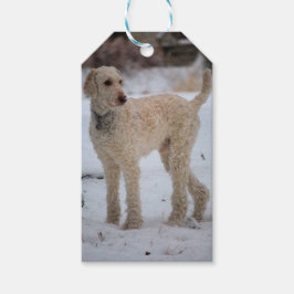 Ollie Geschenkanhänger