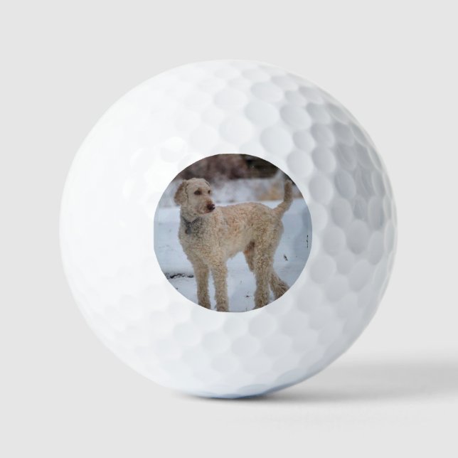 Ollie Golfball (Vorderseite)