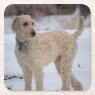 Ollie Rechteckiger Pappuntersetzer